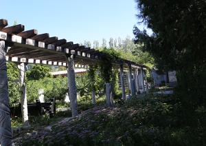 石景山福田公墓：静谧安息的天堂