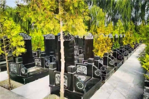环湖生态陵园景观图片