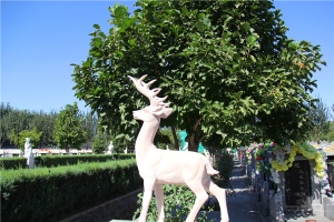 极乐园公墓景观图片