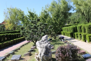墓区