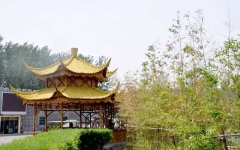 极乐园公墓环境实拍1585034097631