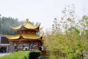 极乐园公墓景观图片