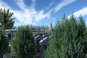 天福园公墓景观图片