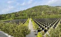 雁阳山公墓环境微信图片_20230310160316