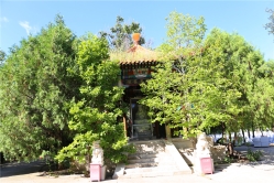 华夏陵园图片环境实拍