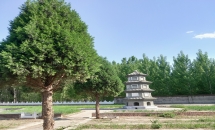 望山祖园公墓环境图塔