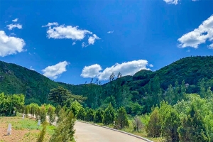 永宁陵园景观图片