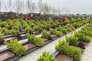 永安陵园景观图片