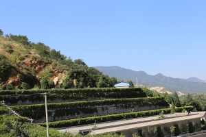 天山陵园景观图片