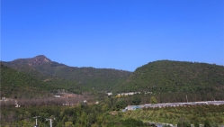 点击查看源图 陵园远景