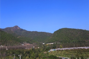 陵园远景