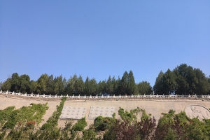 盘龙台公墓景观图片