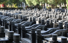 天堂公墓环境图墓区图