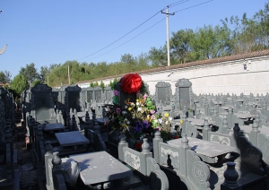 惠灵山陵园：探寻生命终章的静谧之地