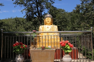 炎黄陵园景观图片