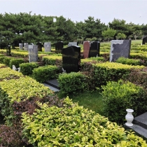 世尊园立碑1180002