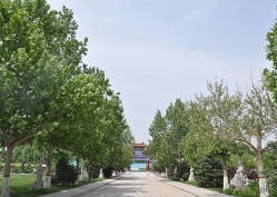 点击查看源图 灵山宝塔陵园图片环境实拍图