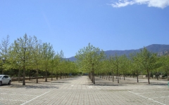 长安园公墓环境图1-1F621142441