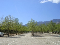 长安园公墓环境图