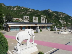 桃峰陵园环境实拍