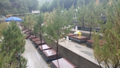 十三陵景仰园陵园环境实拍图片