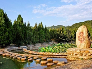 清东陵万佛园：探寻历史与人文交融的墓园文化