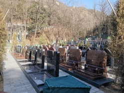 八达岭陵园环境图