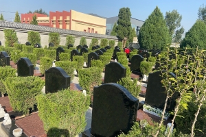 永安陵园景观图片