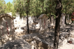 龙泉公墓环境实拍