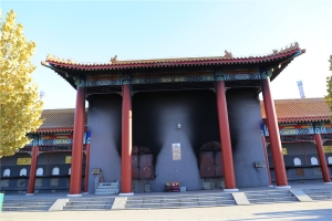 集中焚烧处