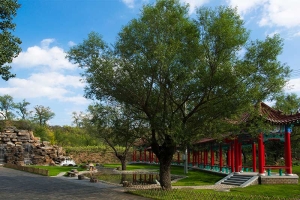 福安园公墓景观图片