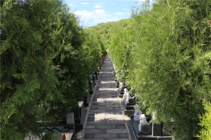 龙泉公墓景观图片