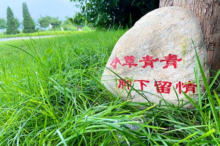 永安陵园环境图