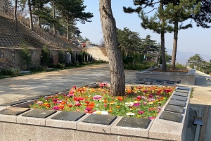永宁陵园景观图片
