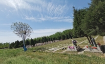 望山祖园公墓环境图墓区景观