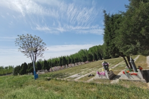 墓区景观