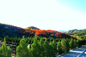 十三陵景仰园陵园景观图片