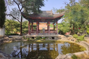 万佛华侨陵园景观图片