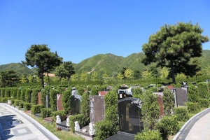 北京天寿公墓官网相关信息及服务指南