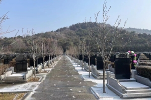 雁阳山公墓景观图片