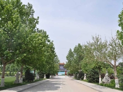 点击查看源图 灵山宝塔陵园图片环境实拍图