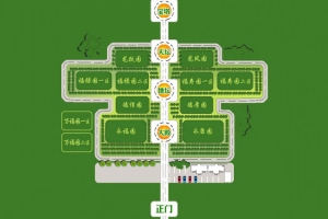 平面图