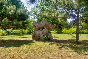 万桐园公墓景观图片
