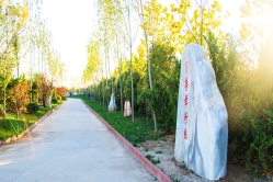 卧龙公墓环境实拍