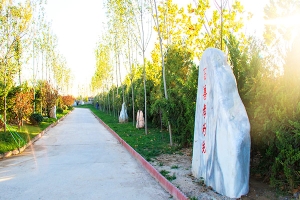 卧龙公墓景观图片