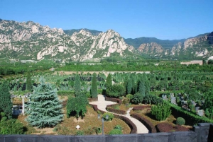 墓地价格影响因素及选购指南