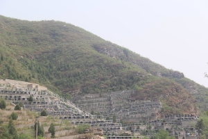 珍珠源公墓景观图片