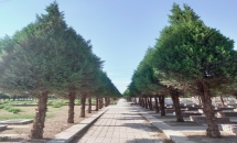 望山祖园公墓环境图墓区