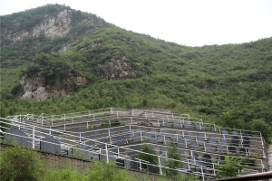珍珠源公墓