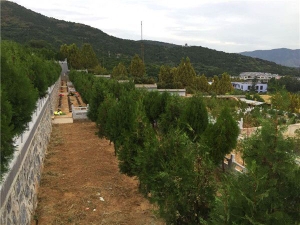 西山骨灰林陵园